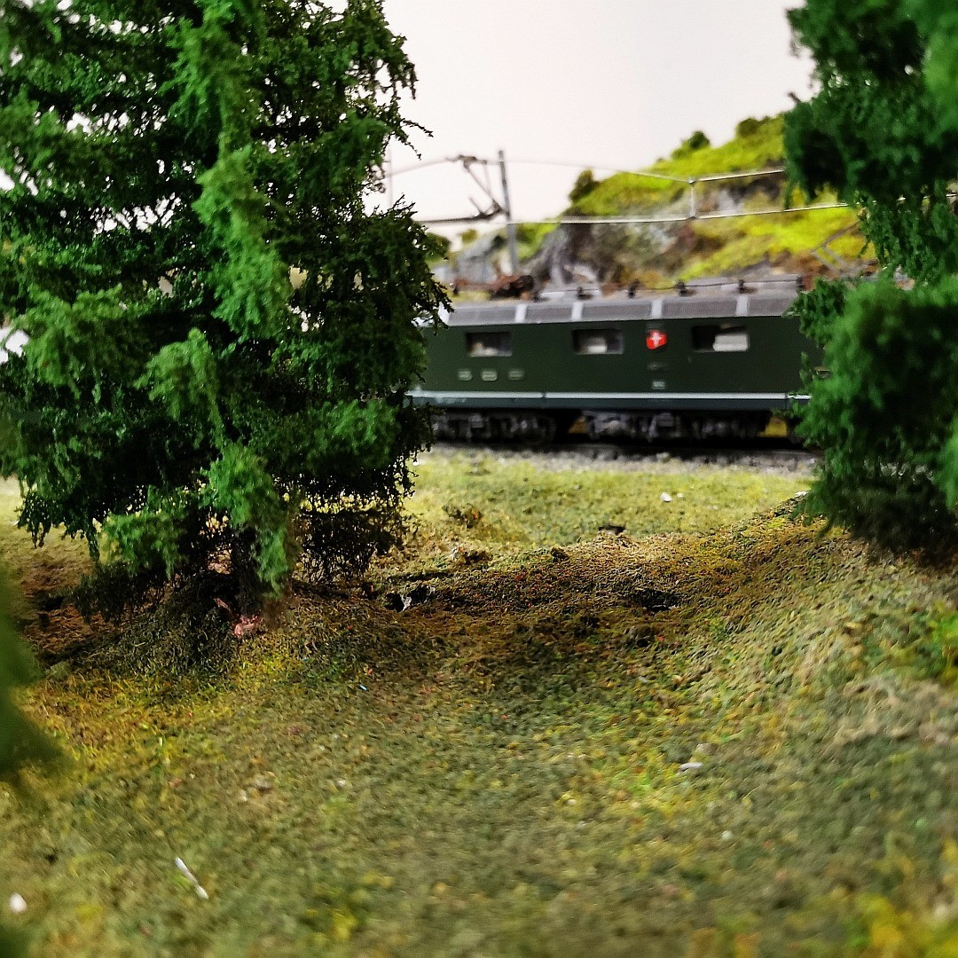 Primo Models CTA