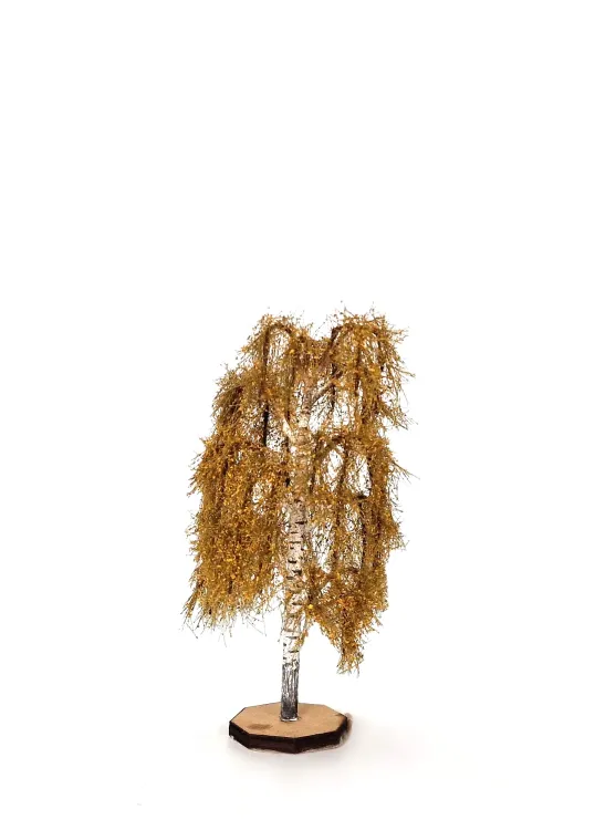 Autumn Birch Tree Model