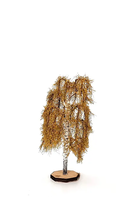 Autumn Birch Tree Model