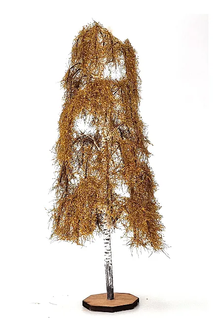 Autumn Birch Tree Model