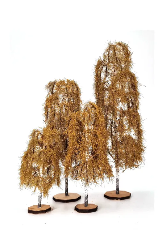 Autumn Birch Tree Model
