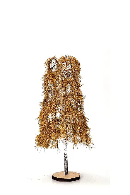 Autumn Birch Tree Model