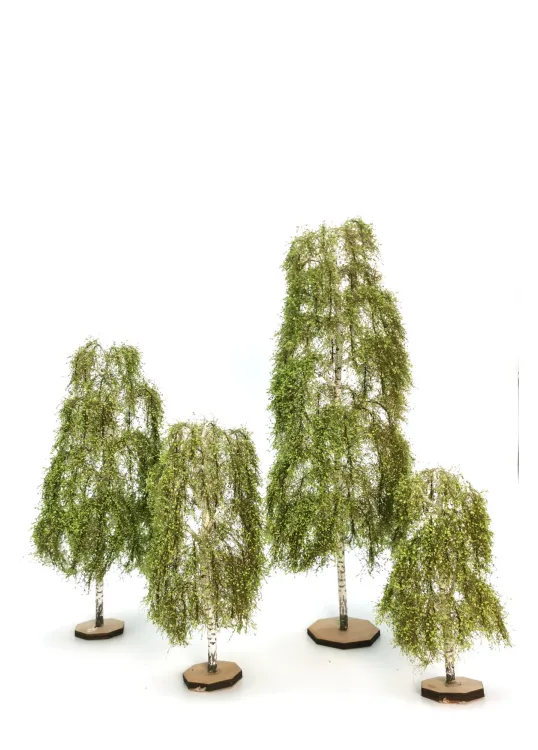 Birch Tree Model