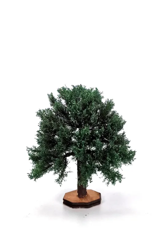 Chestnut Tree Model