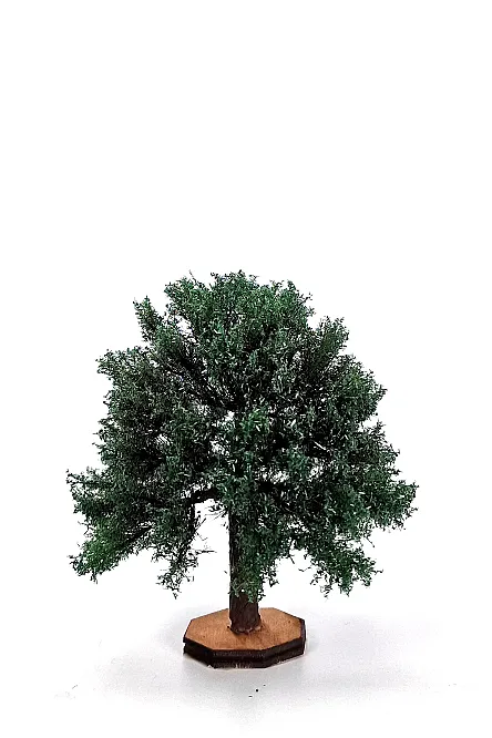 Chestnut Tree Model