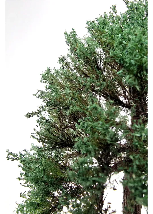 Chestnut Tree Model