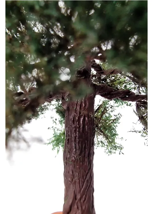 Chestnut Tree Model