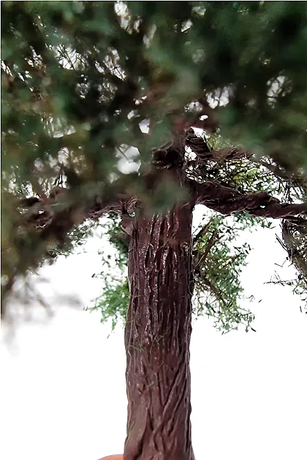 Chestnut Tree Model