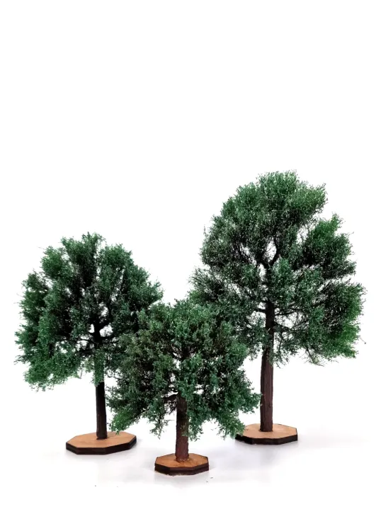 Chestnut Tree Model