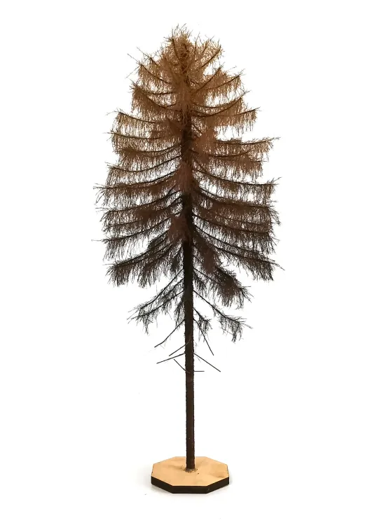 Dry Larch Tree Model