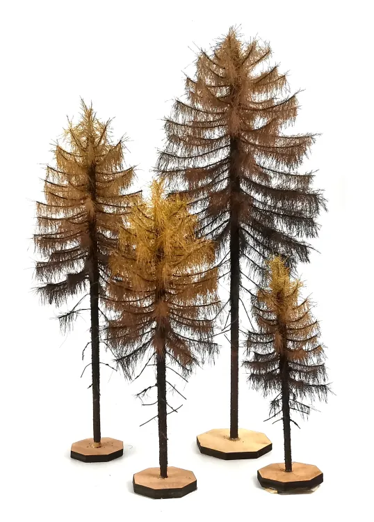 Dry Larch Tree Model
