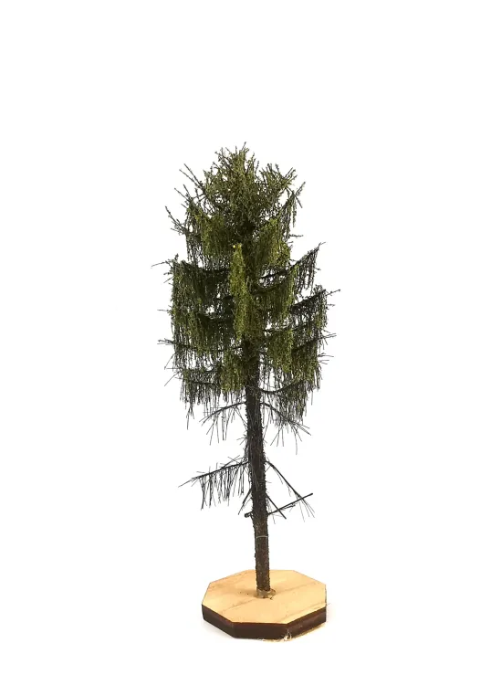 Forest Larch Tree Model 9-11 cm