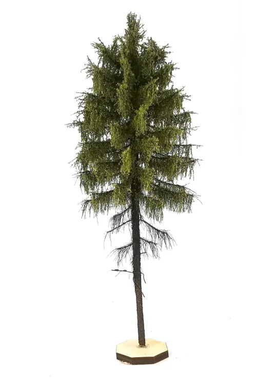 Forest Larch Tree Model