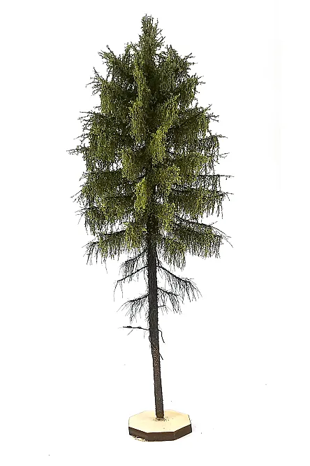 Forest Larch Tree Model