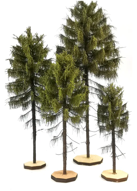 Forest Larch Tree Model