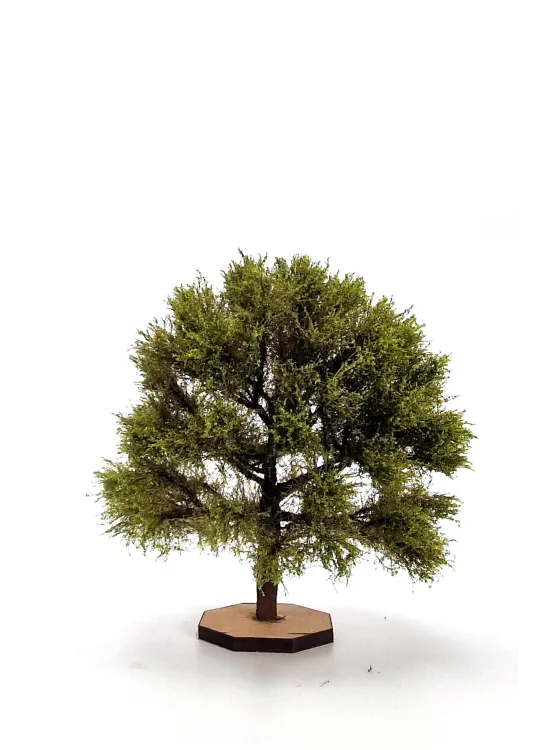 Oak Tree Model