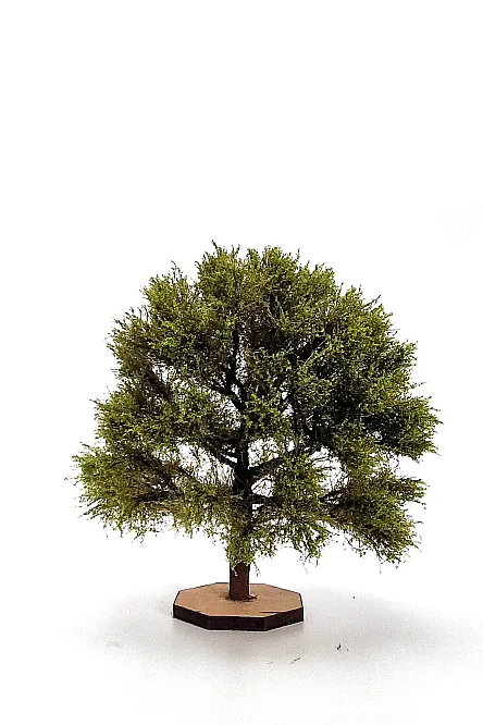 Oak Tree Model