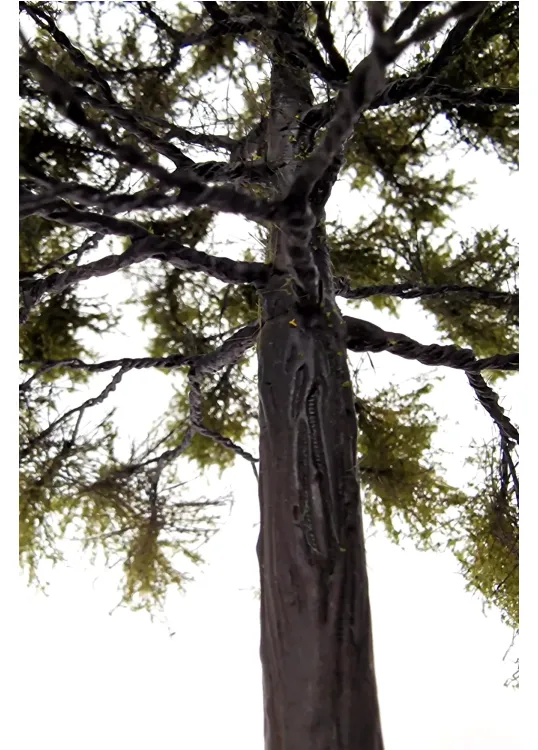 Oak Tree Model