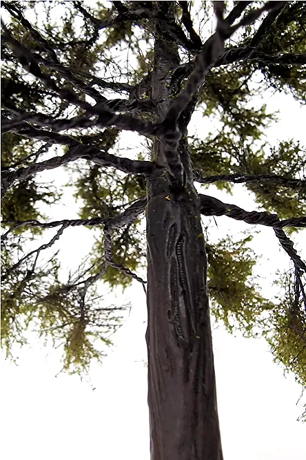 Oak Tree Model