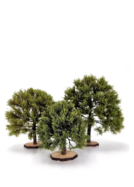 Oak Tree Model