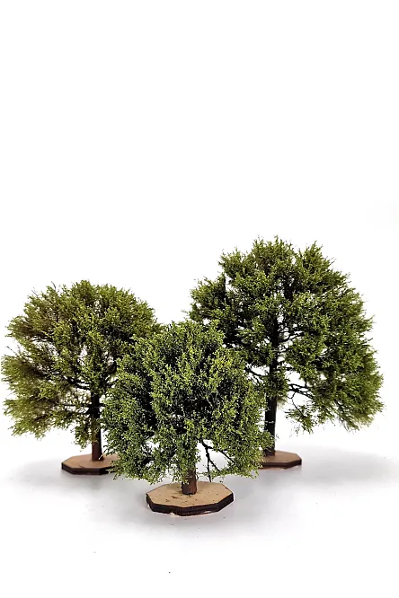 Oak Tree Model