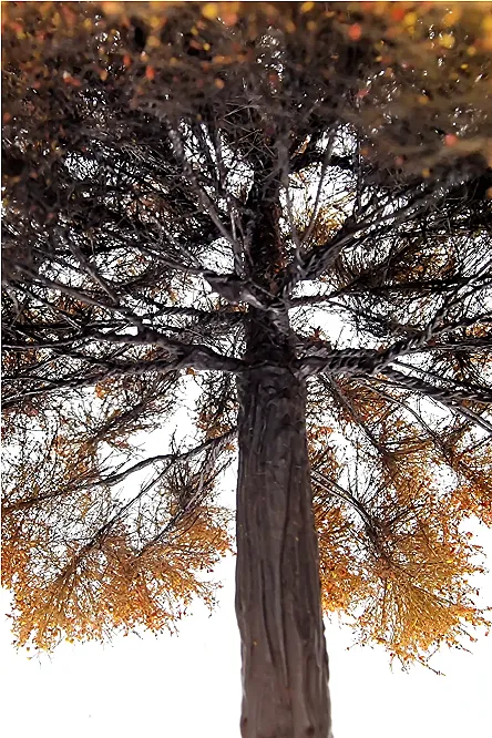 Autumn Oak Tree Model