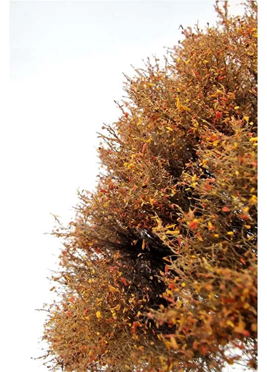 Autumn Oak Tree Model