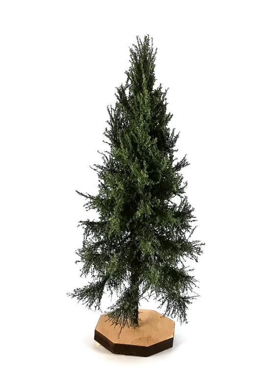 Spruce Tree Model