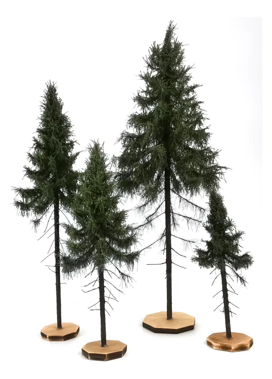 Forest Spruce Tree Model