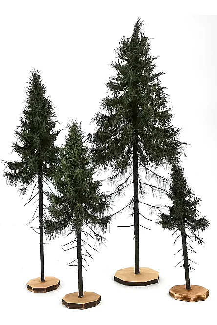 Forest Spruce Tree Model