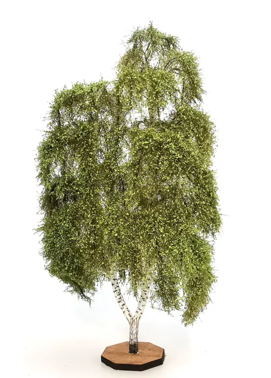 Double Birch Tree Model