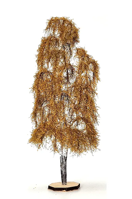 Autumn Double Birch Tree Model