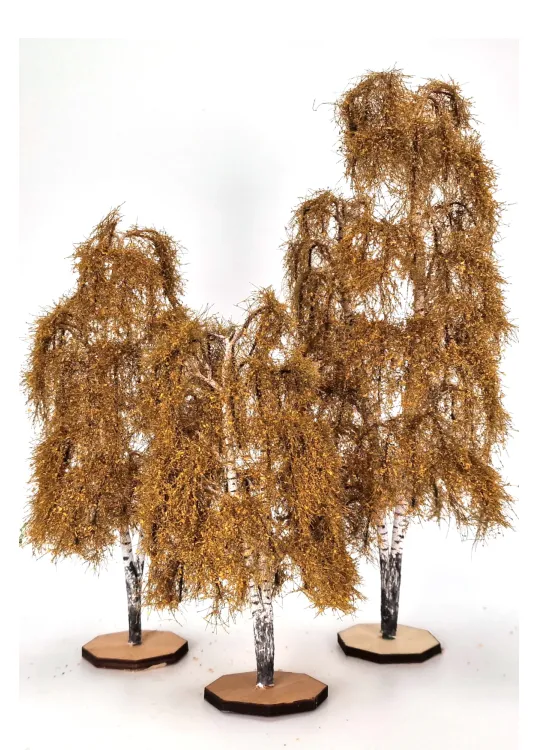 Autumn Double Birch Tree Model