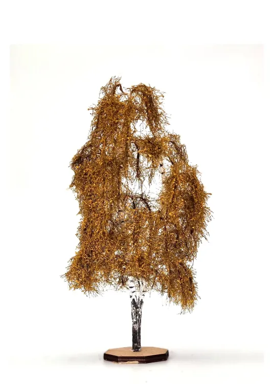 Autumn Double Birch Tree Model