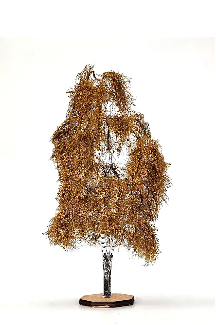 Autumn Double Birch Tree Model