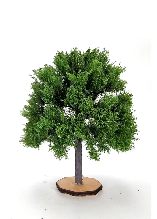 Maple Tree Model
