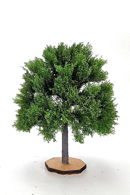 Maple Tree Model