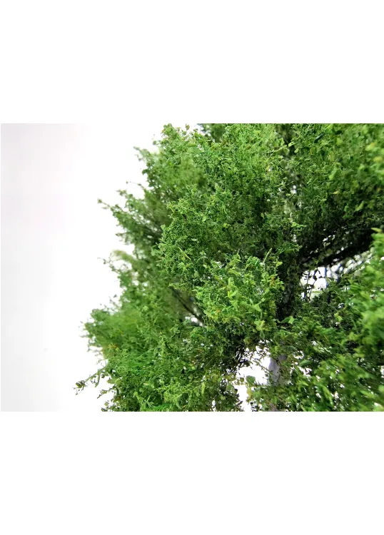 Maple Tree Model