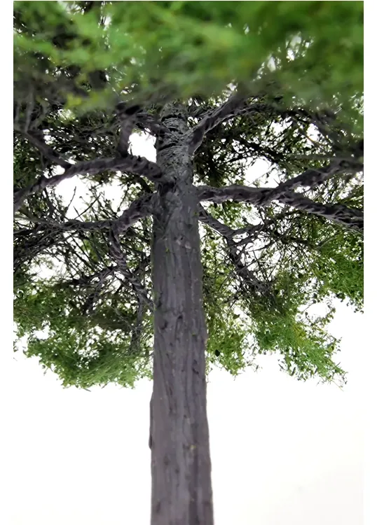 Maple Tree Model