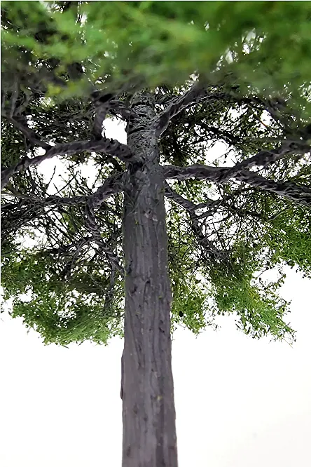 Maple Tree Model