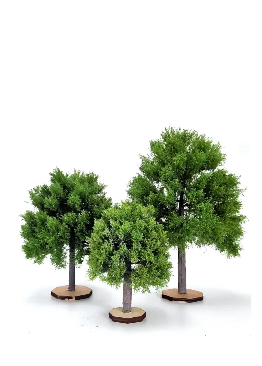 Maple Tree Model