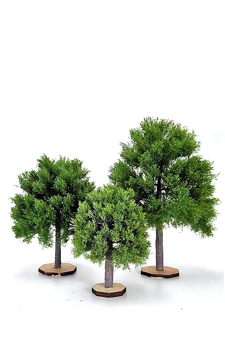 Maple Tree Model