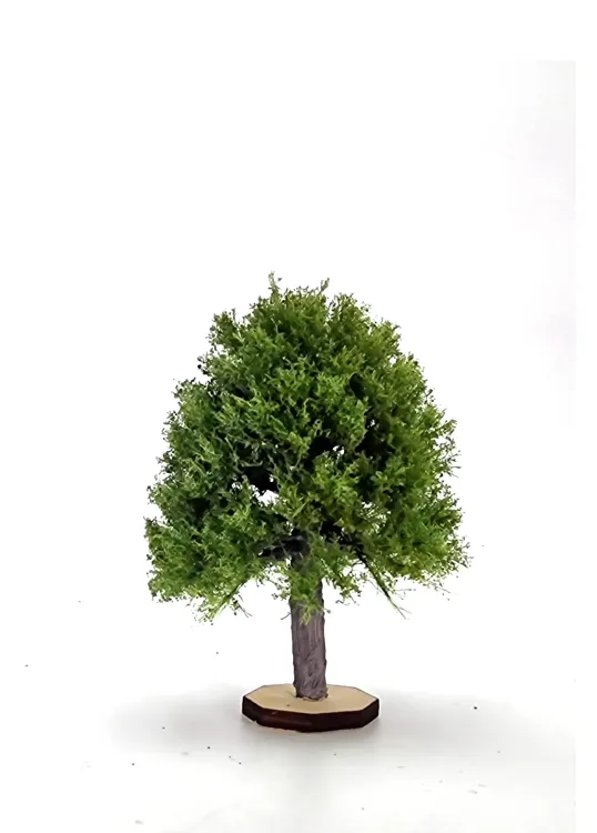 Maple Tree Model