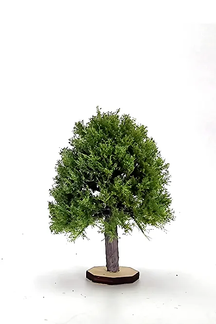 Maple Tree Model