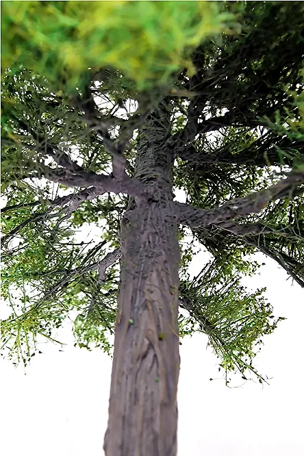 Maple Tree Model