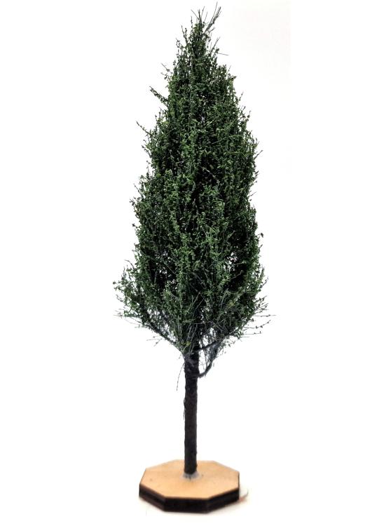 Poplar Tree Model
