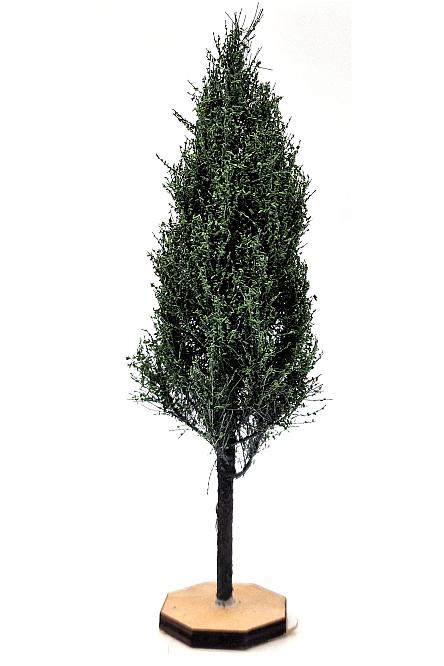 Poplar Tree Model
