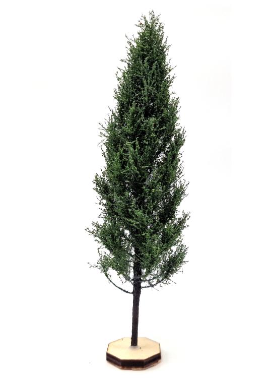 Poplar Tree Model 