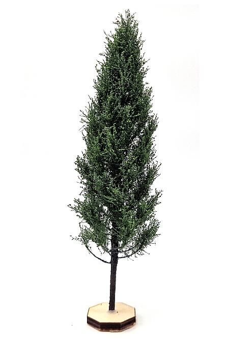 Poplar Tree Model 
