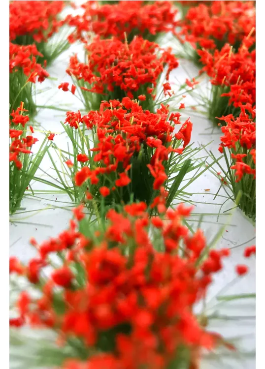 Model Flowers - Red